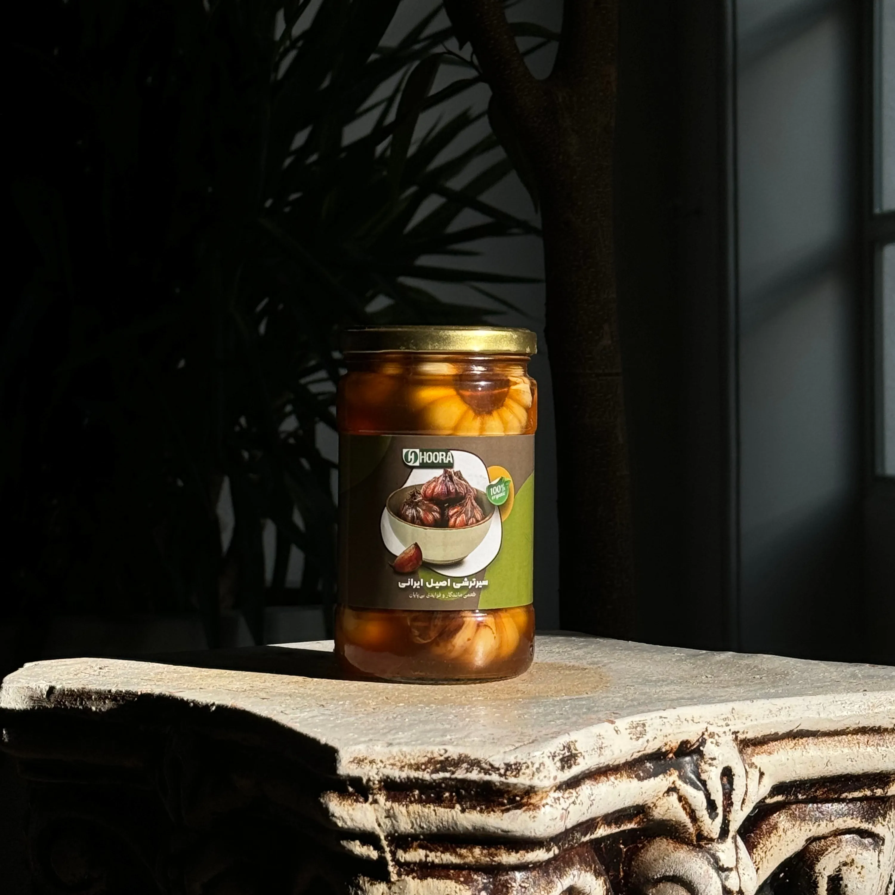 سیر ترشی شرکتی هورا