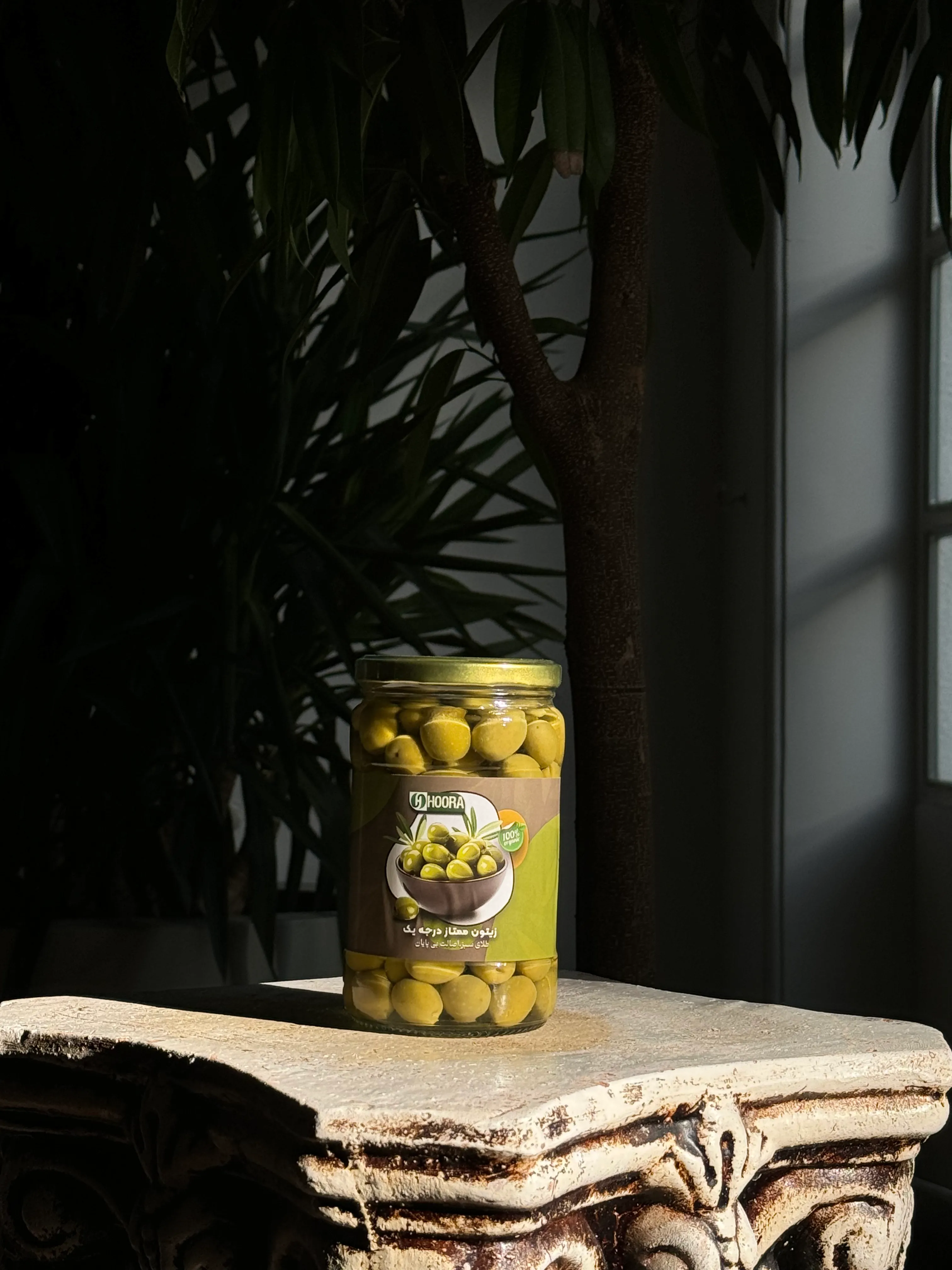 زیتون نیم کیلویی هورا