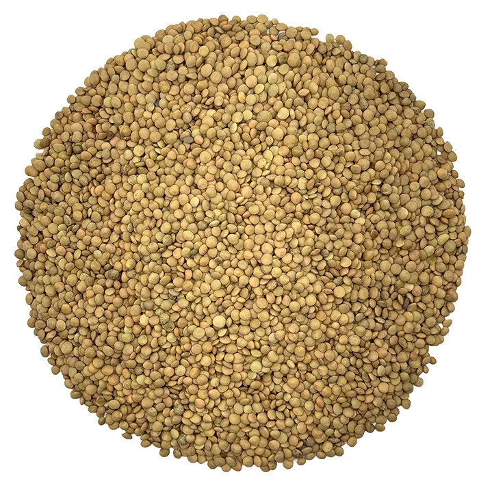 عدس ریز اصل هورا