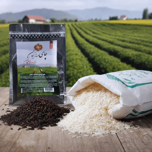 برنج و چای هورا